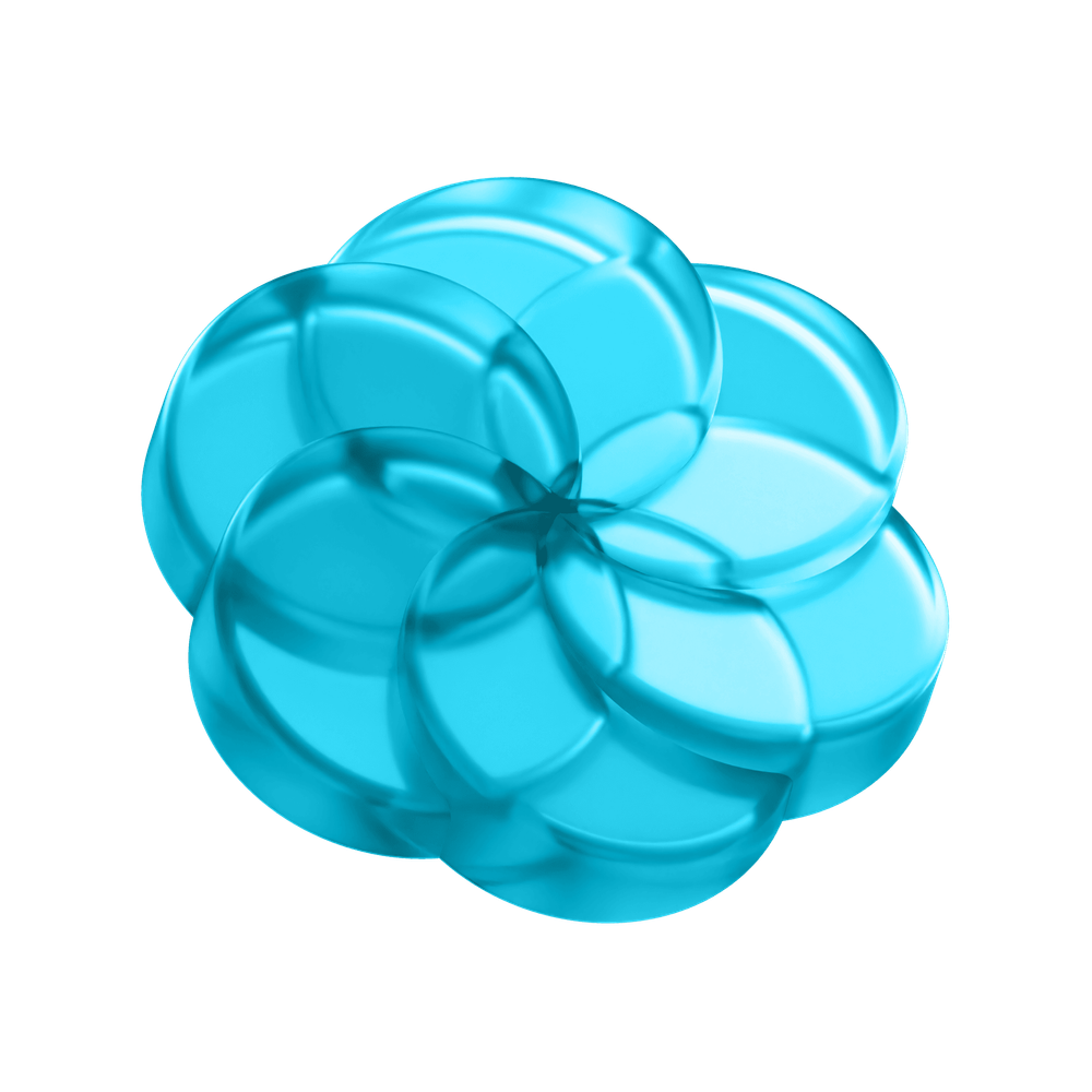 Beauty and Lifestyle