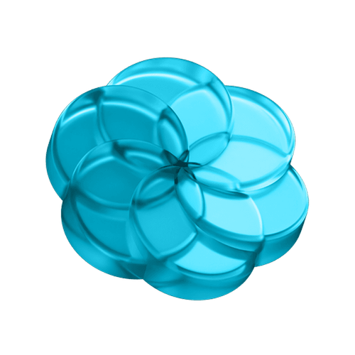 Beauty and Lifestyle